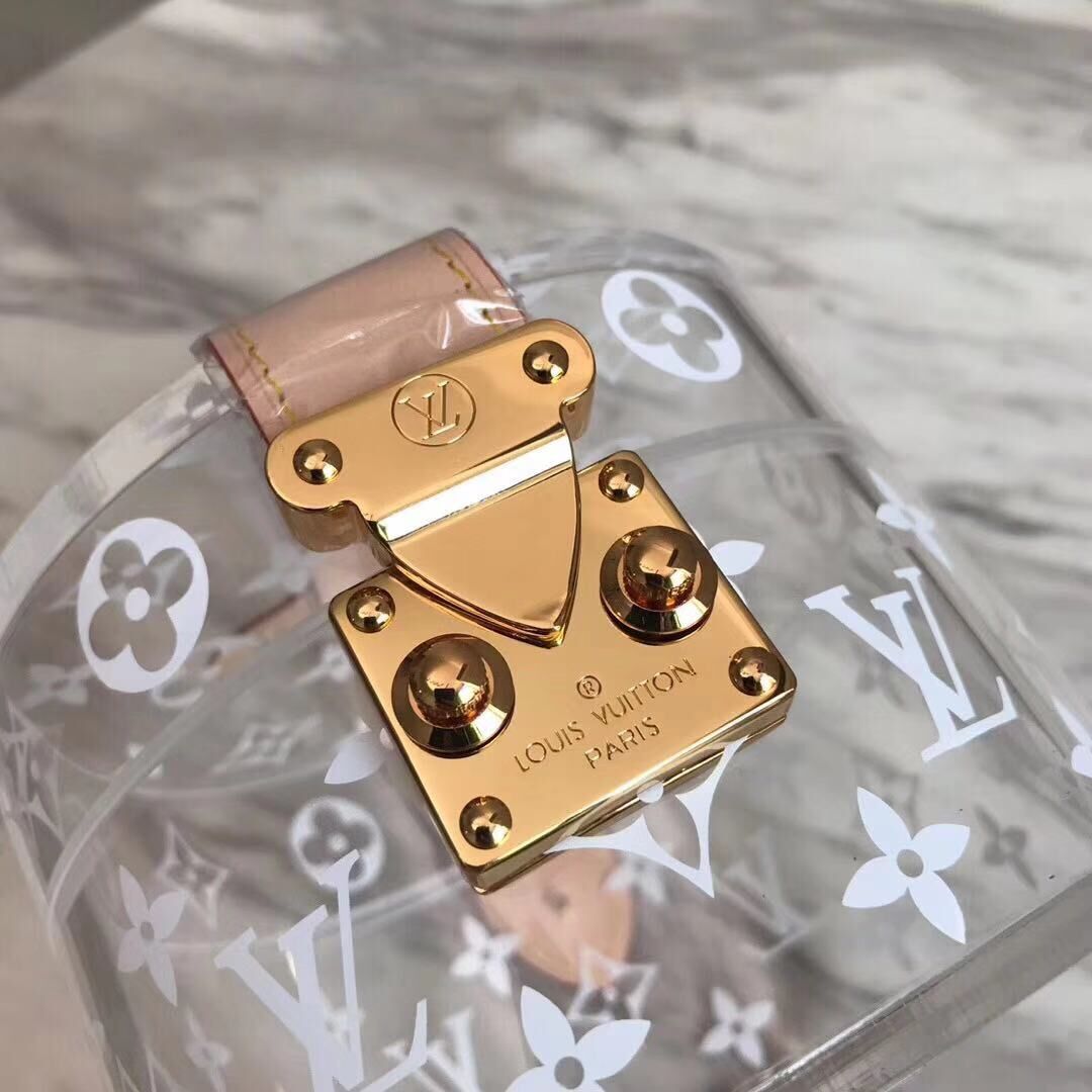 Louis Vuitton Monogram Transparent Bag  - 