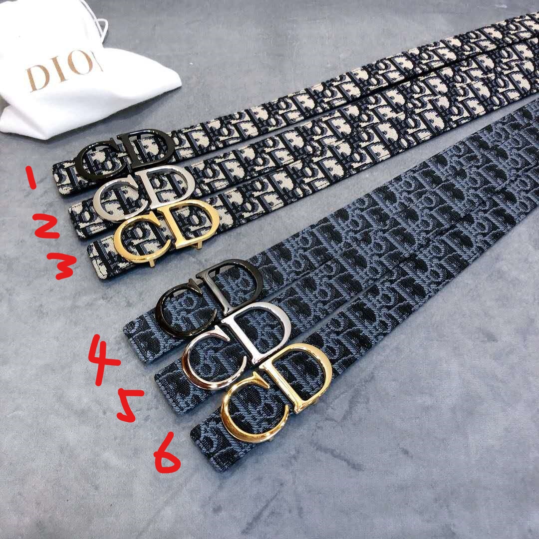 Dior Saddle Dior Oblique Belt - PerfectKickZ