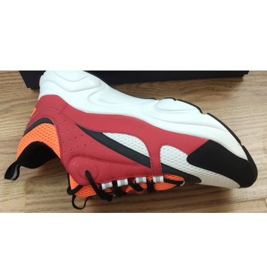 Dior [Limited version] B22 Sneaker  - PerfectKickZ