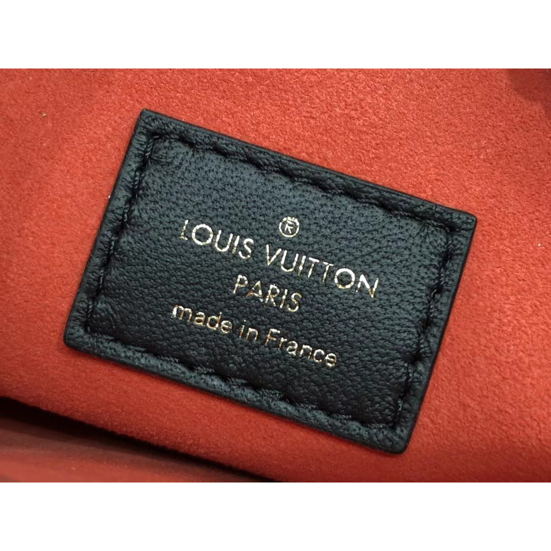 Louis Vuitton  Handbag （20 x 16 x 12cm） - PerfectKickZ