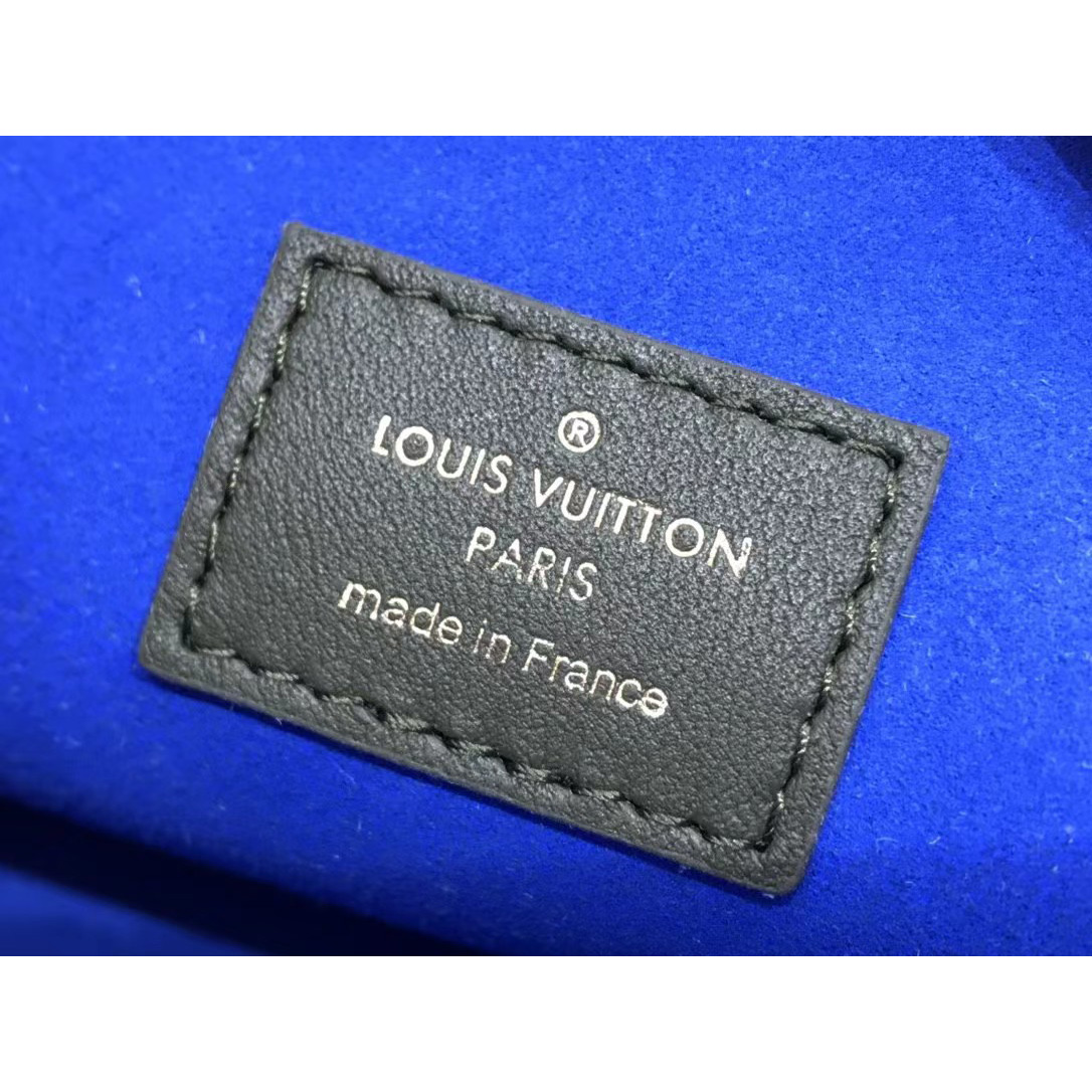 Louis Vuitton  Handbag （20 x 16 x 12cm） - PerfectKickZ