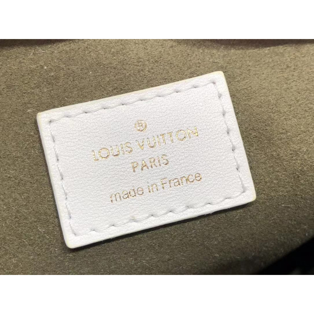 Louis Vuitton  Handbag （20 x 16 x 12cm） - PerfectKickZ