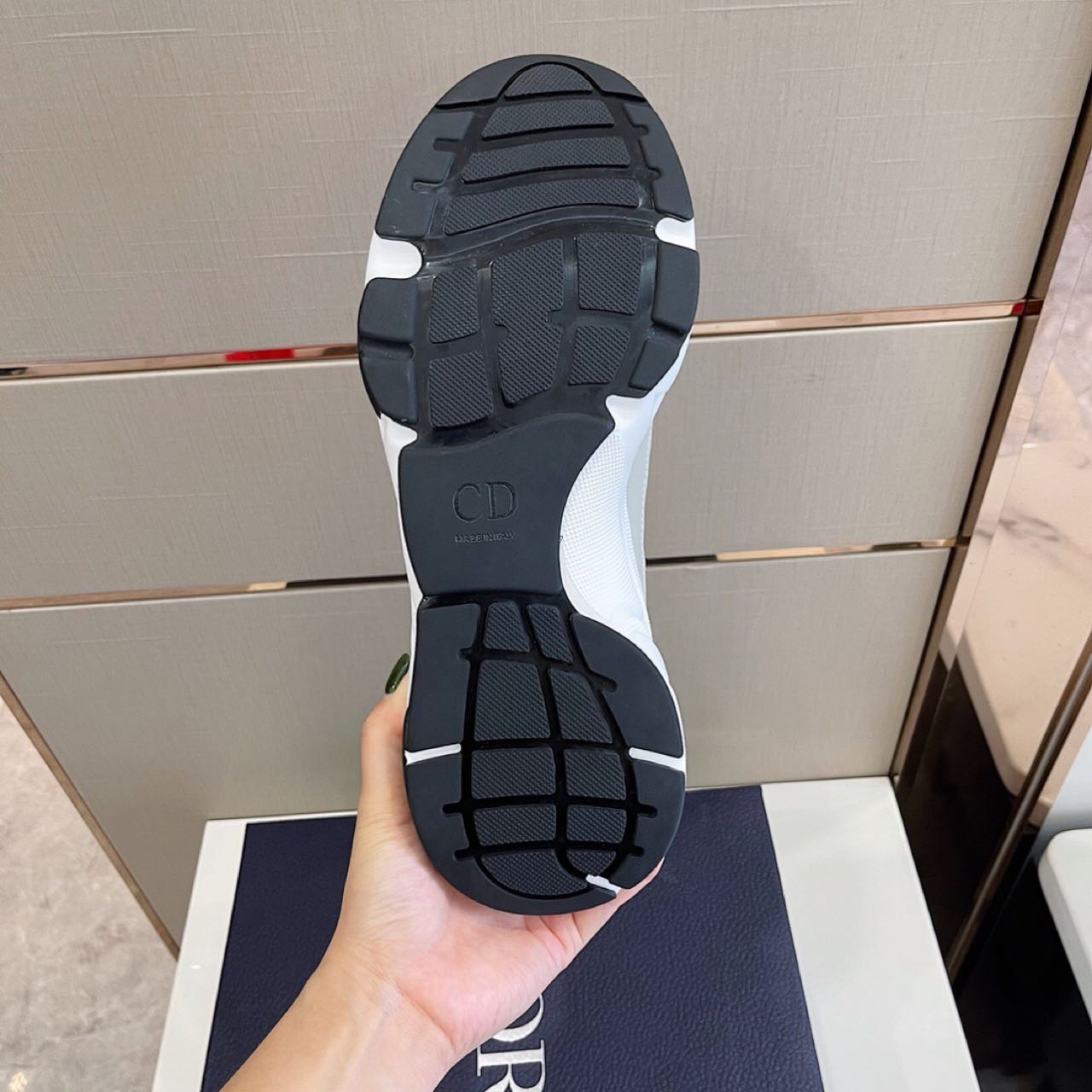 Dior B22 Sneaker  - PerfectKickZ