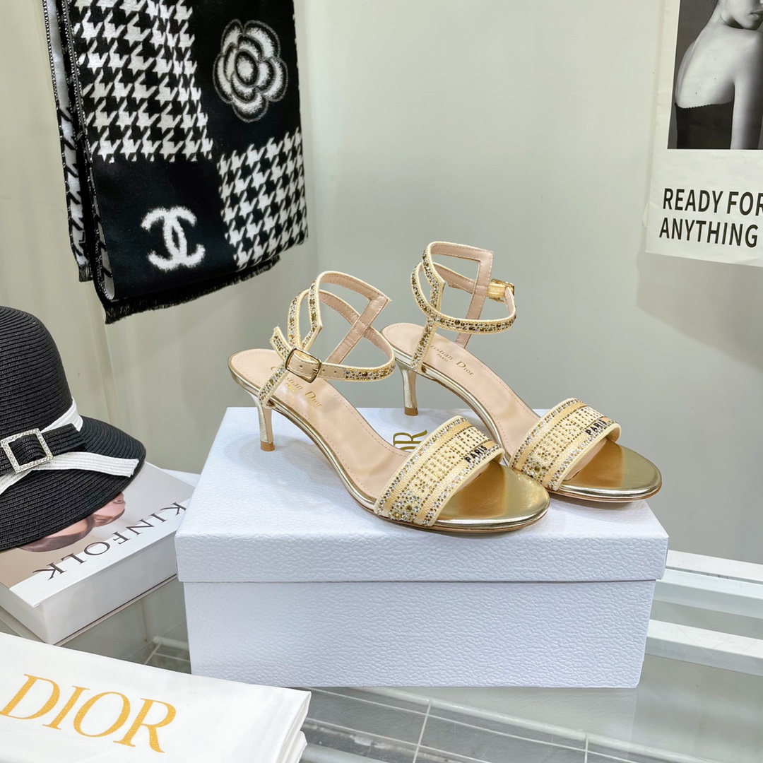 Dior Logo High Heeled Sandals(6.5CM) - PerfectKickZ