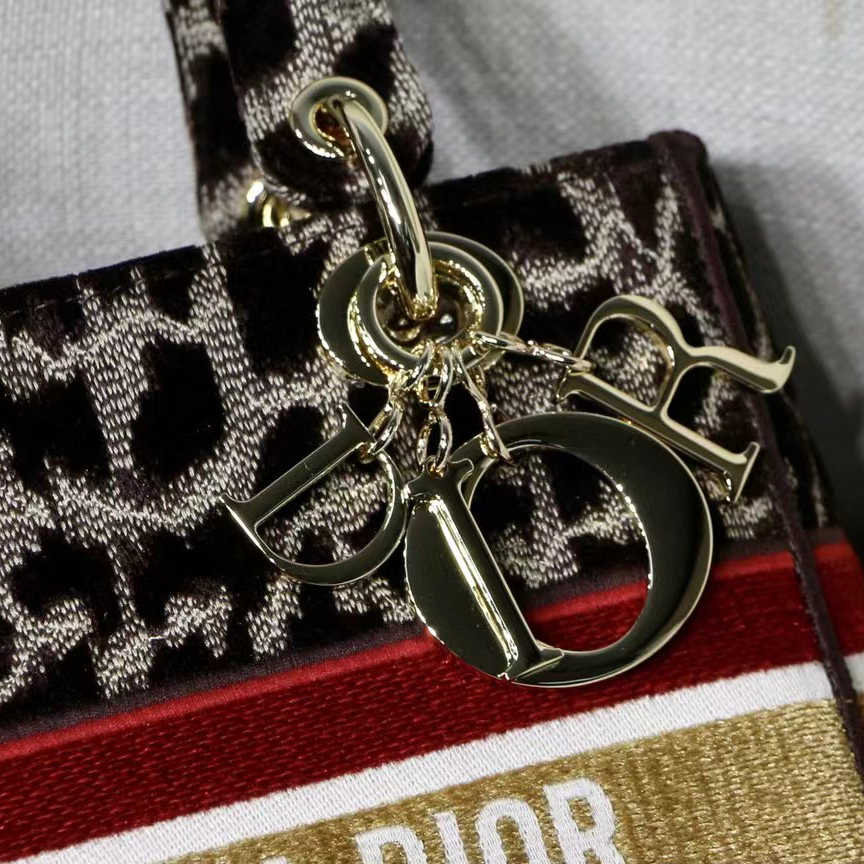 Dior Leopard Print Lady Bag（24-20-11CM） - 