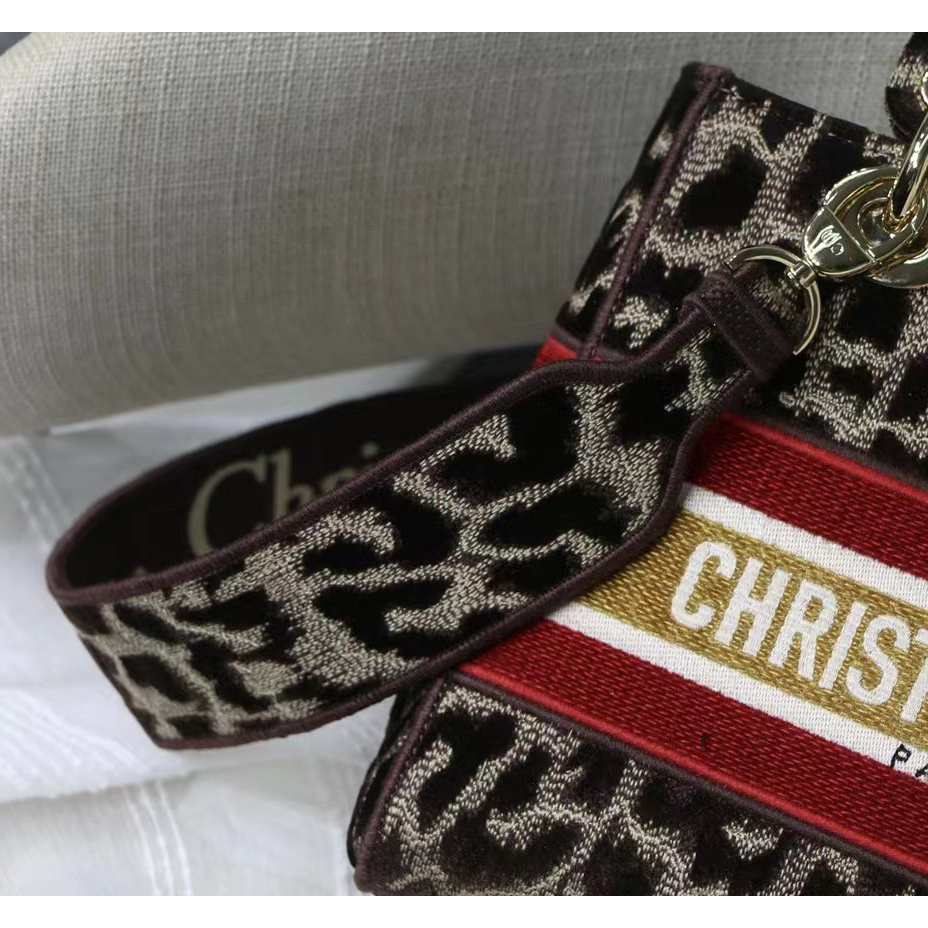 Dior Leopard Print Lady Bag（24-20-11CM） - 