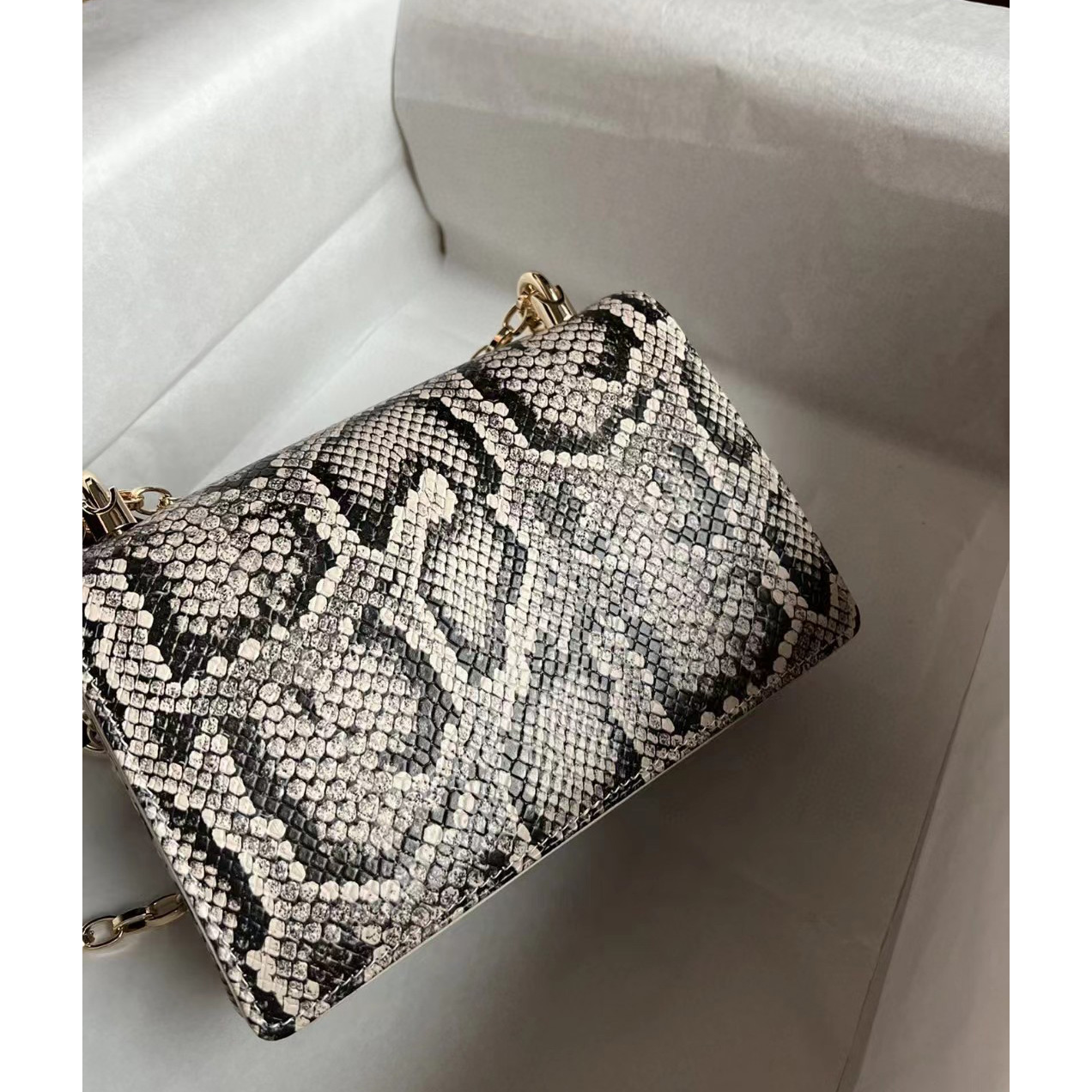 Dolce & Gabbana Women's Dg Logo Crossbody Bag(21-15-4cm) - PerfectKickZ