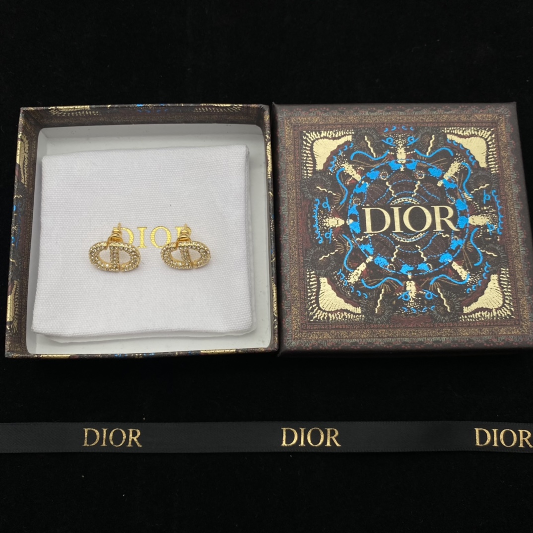 Dior 'CD'  Earrings - PerfectKickZ
