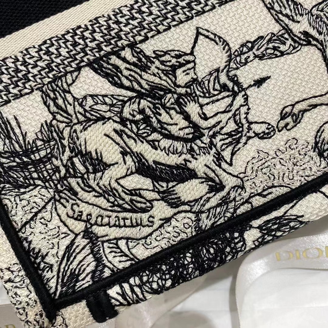 Dior Oblique Embroidered Book Tote - PerfectKickZ