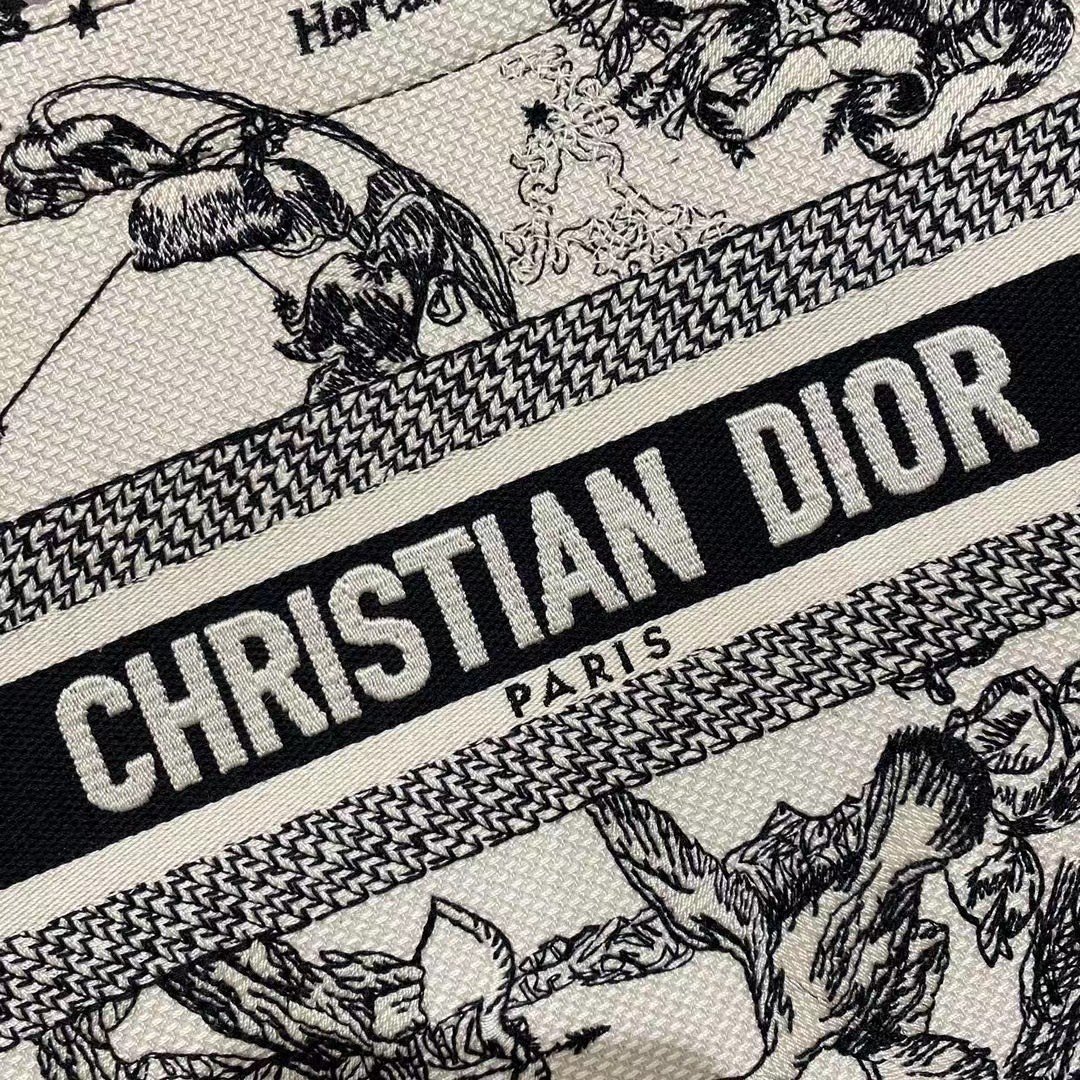 Dior Oblique Embroidered Book Tote - PerfectKickZ