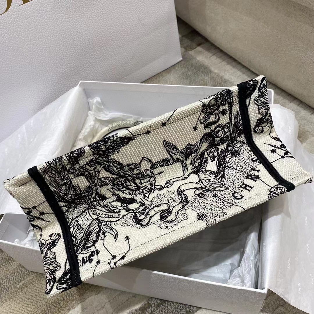 Dior Oblique Embroidered Book Tote - PerfectKickZ