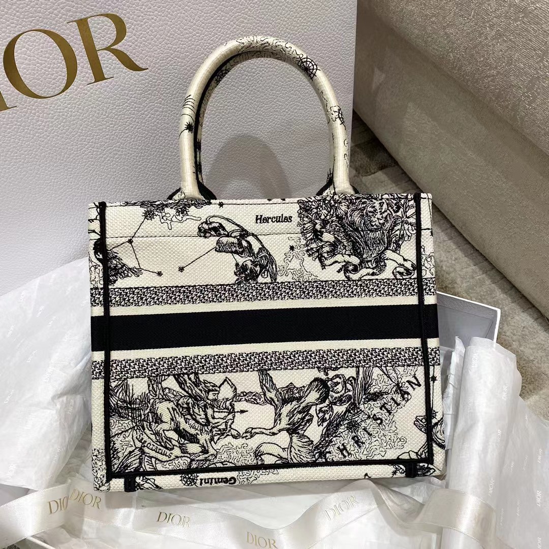 Dior Oblique Embroidered Book Tote - PerfectKickZ