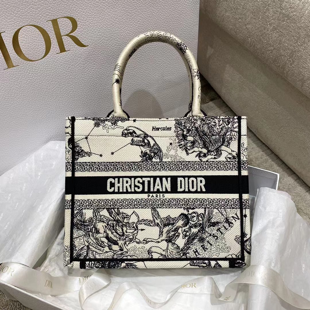 Dior Oblique Embroidered Book Tote - PerfectKickZ
