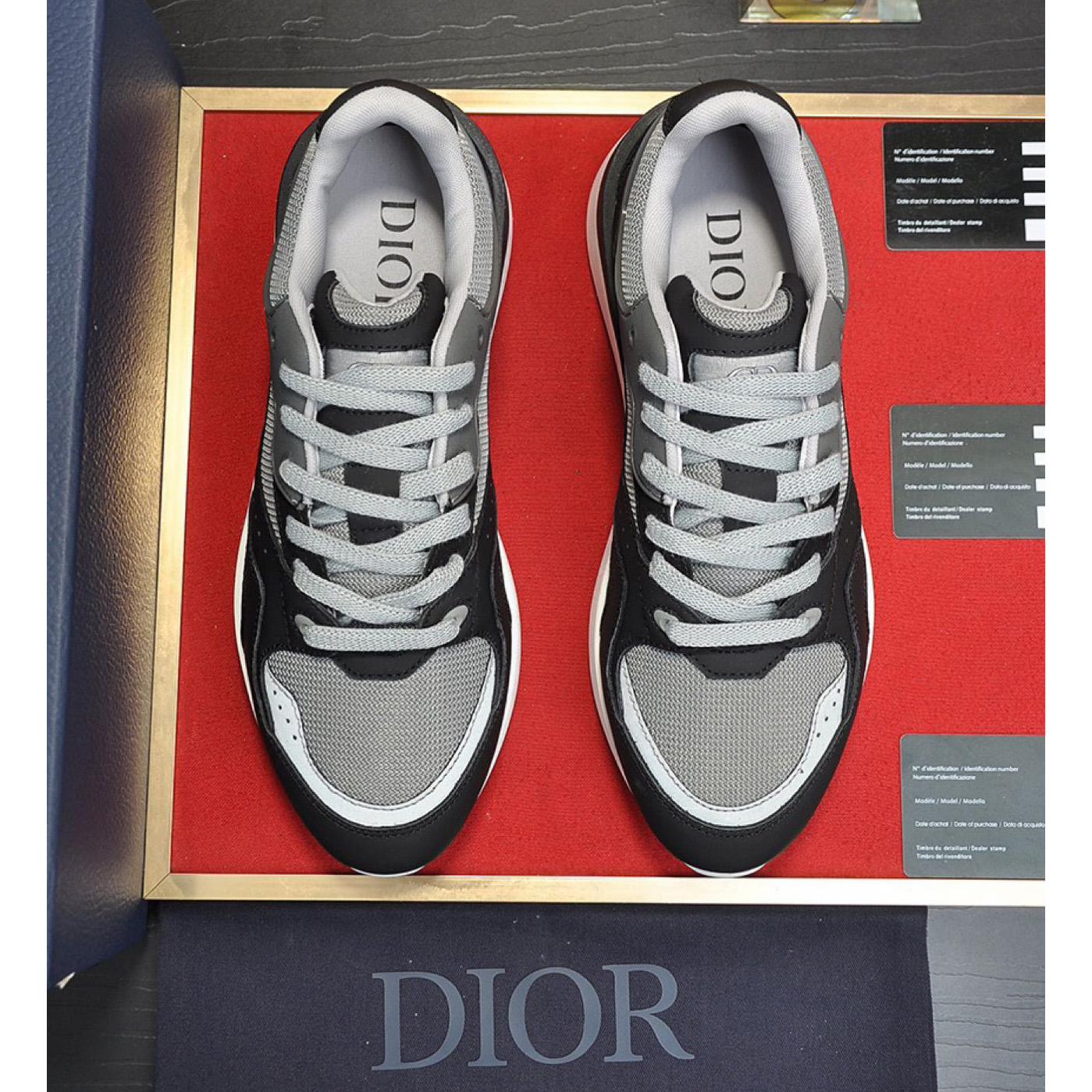 Dior B29 Low-Top Sneaker - PerfectKickZ