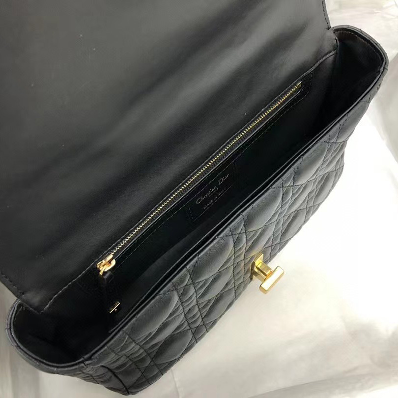 Dior Medium Caro Bag(25.5-15.5-8cm) - 