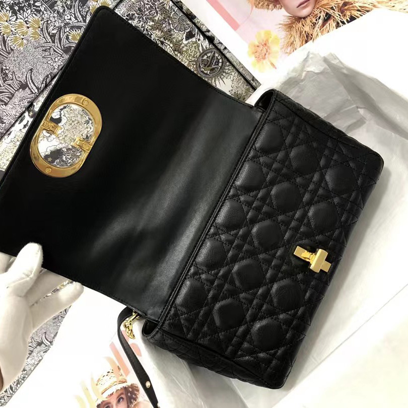 Dior Medium Caro Bag(25.5-15.5-8cm) - 