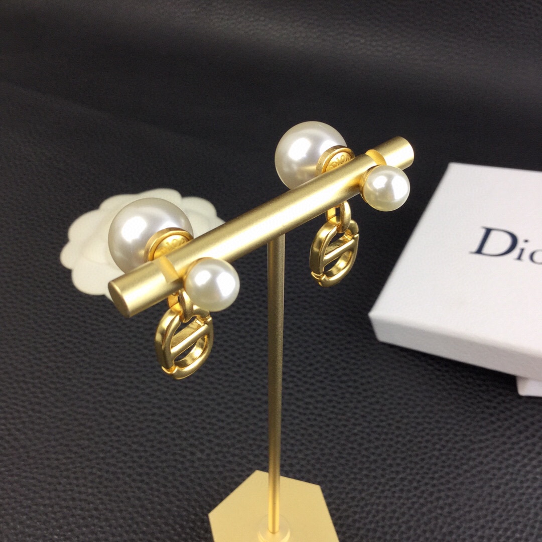 Dior Tribales Earrings - PerfectKickZ