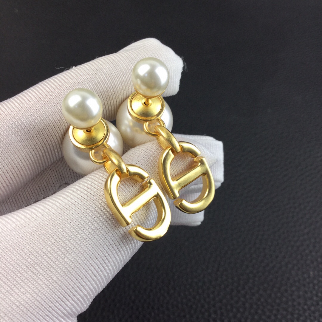Dior Tribales Earrings - PerfectKickZ