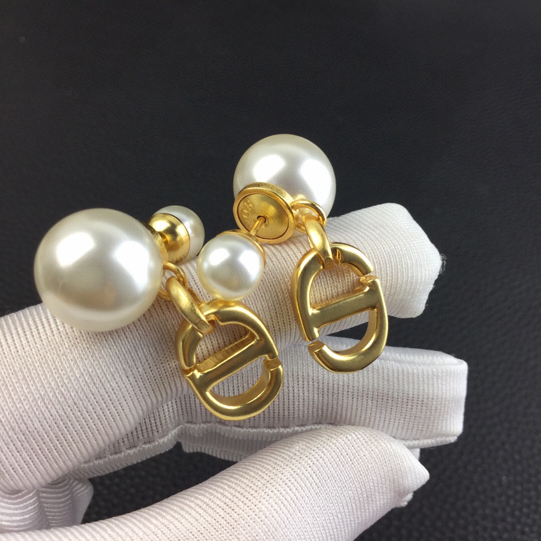 Dior Tribales Earrings - PerfectKickZ