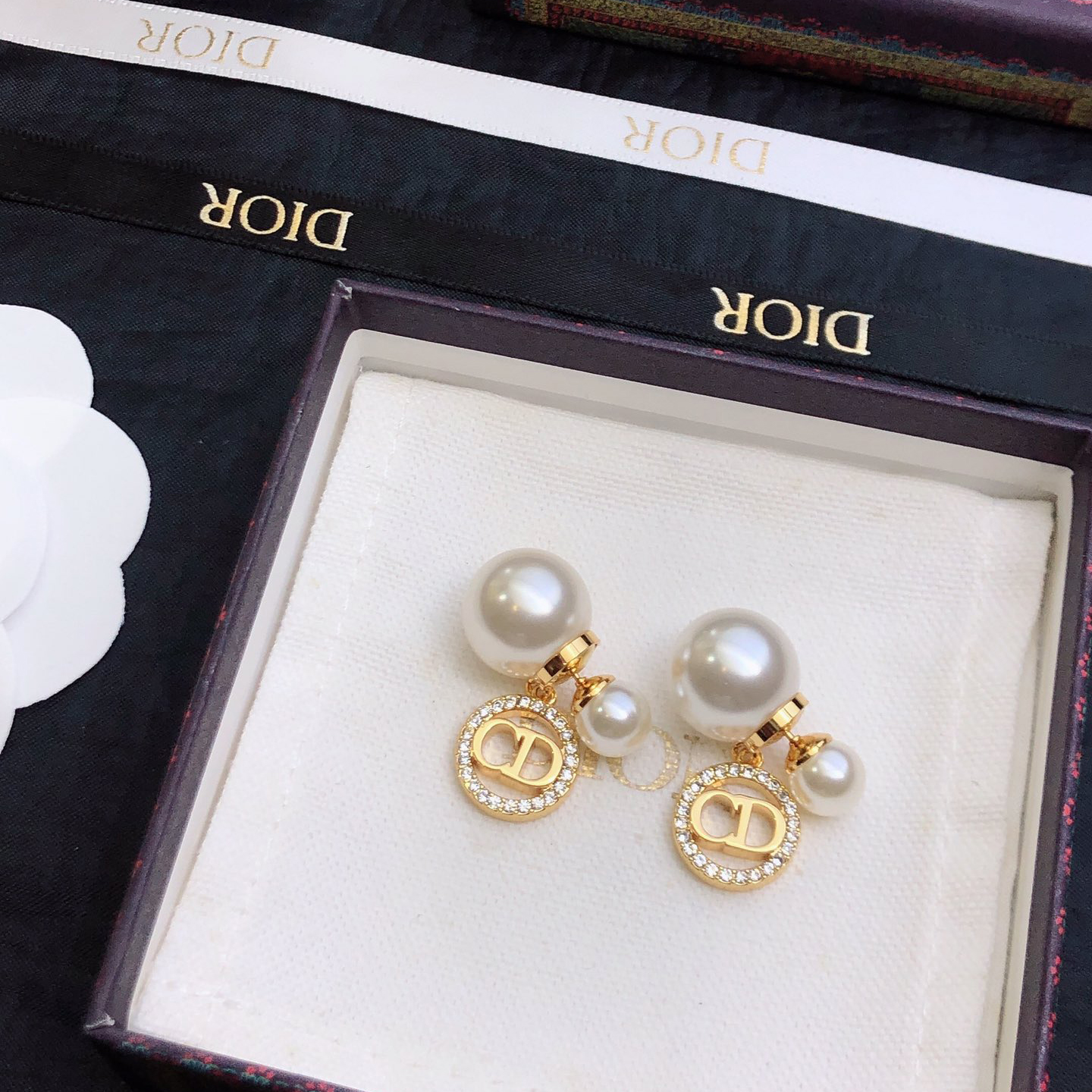 Dior Tribales Earrings - PerfectKickZ