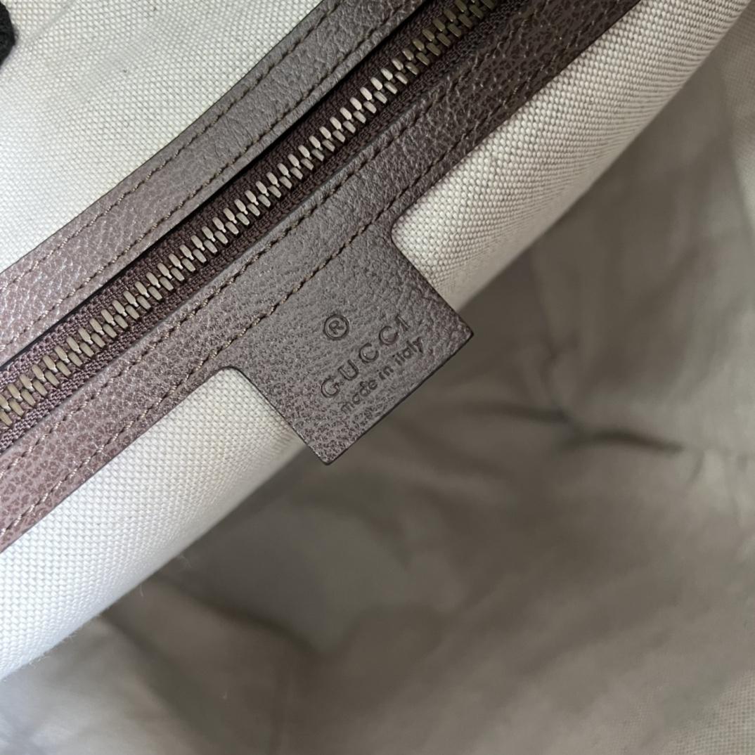 Gucci Cat Print Skateboard Backpack(34-42-16cm) - PerfectKickZ