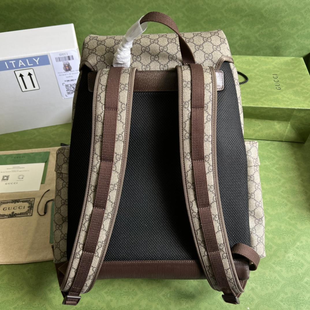 Gucci Cat Print Skateboard Backpack(34-42-16cm) - PerfectKickZ
