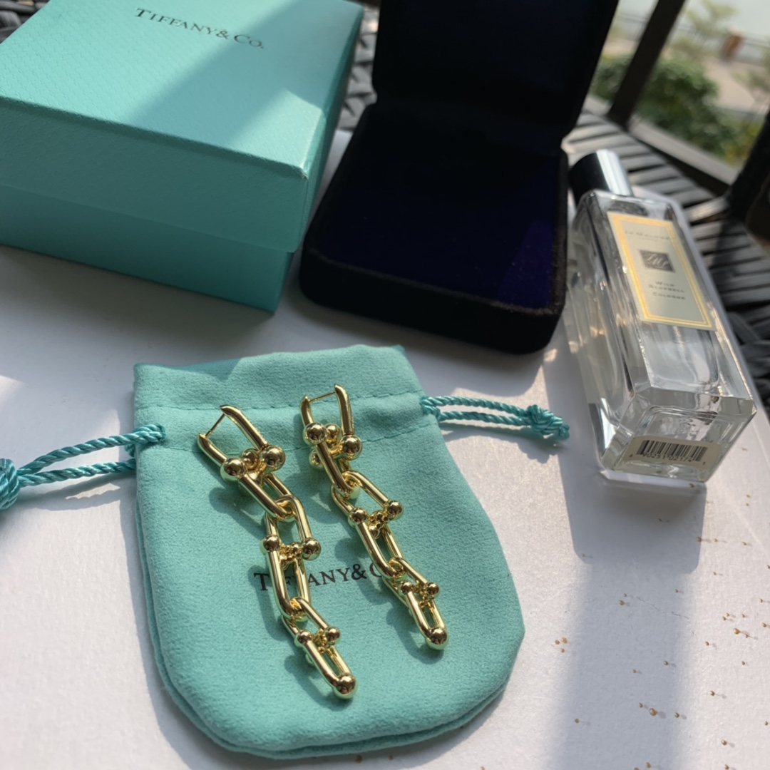 Tiffany&CO Graduated Link Earrings - PerfectKickZ