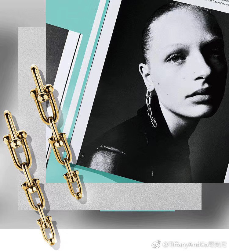 Tiffany&CO Graduated Link Earrings - PerfectKickZ