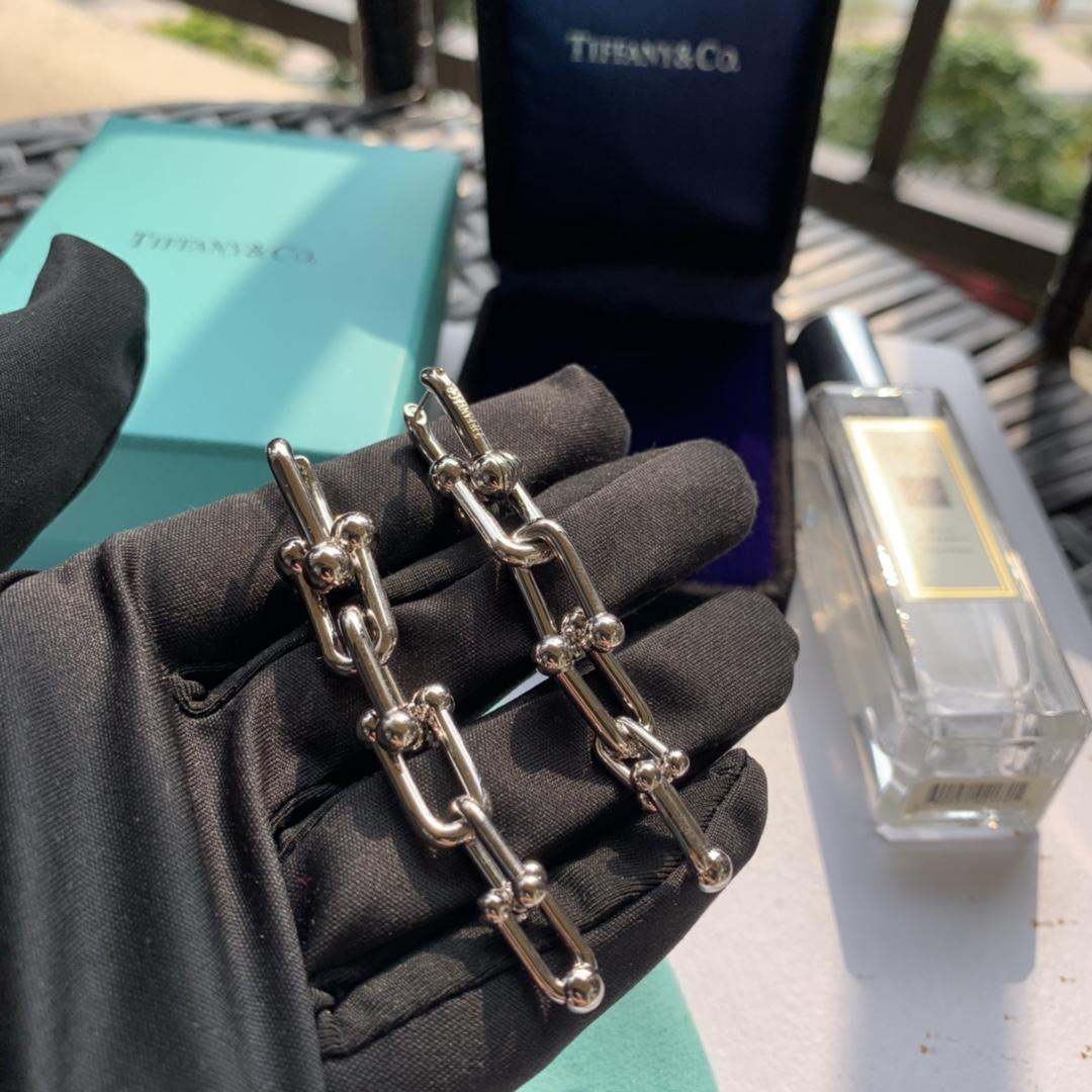 Tiffany&CO Graduated Link Earrings - PerfectKickZ