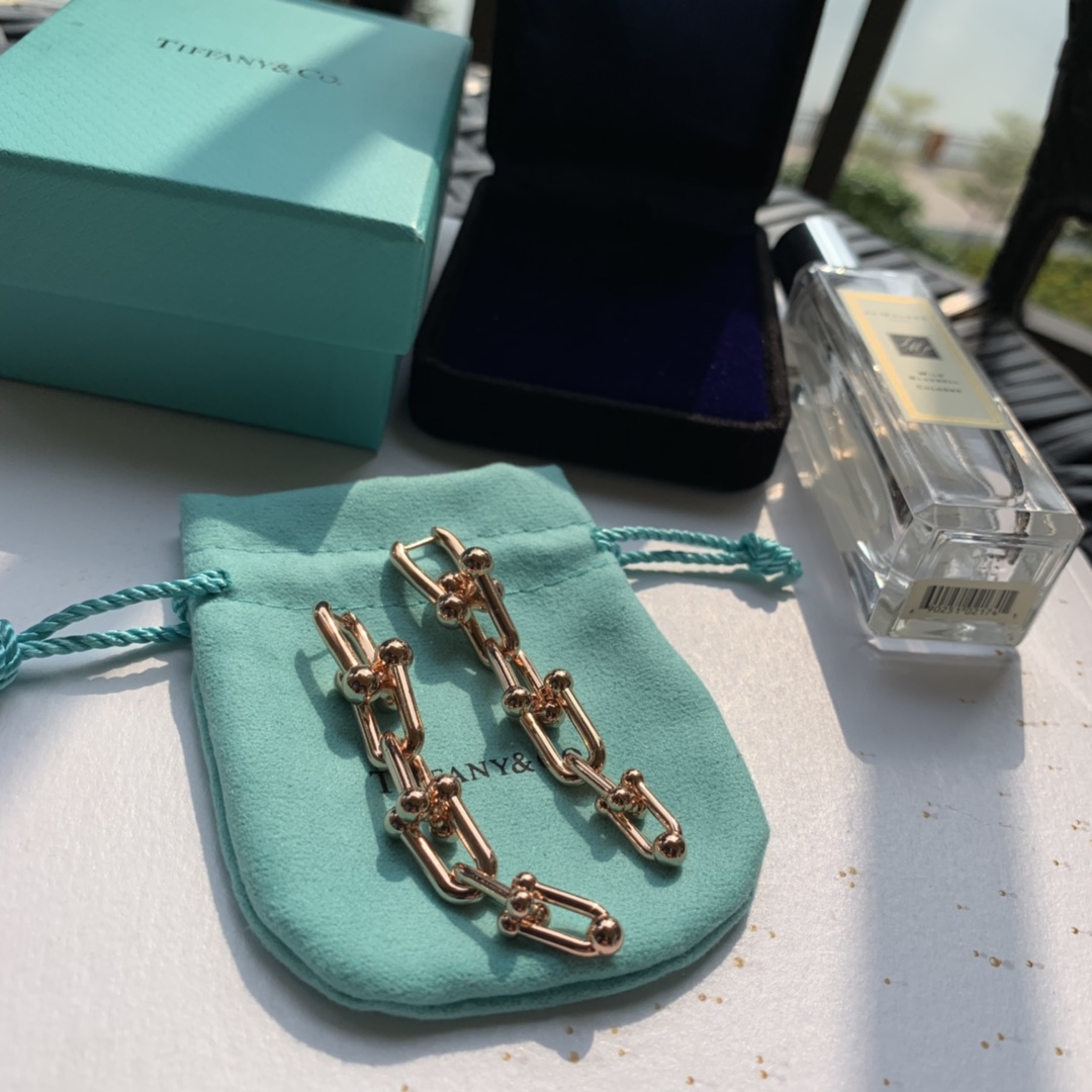 Tiffany&CO Graduated Link Earrings - PerfectKickZ
