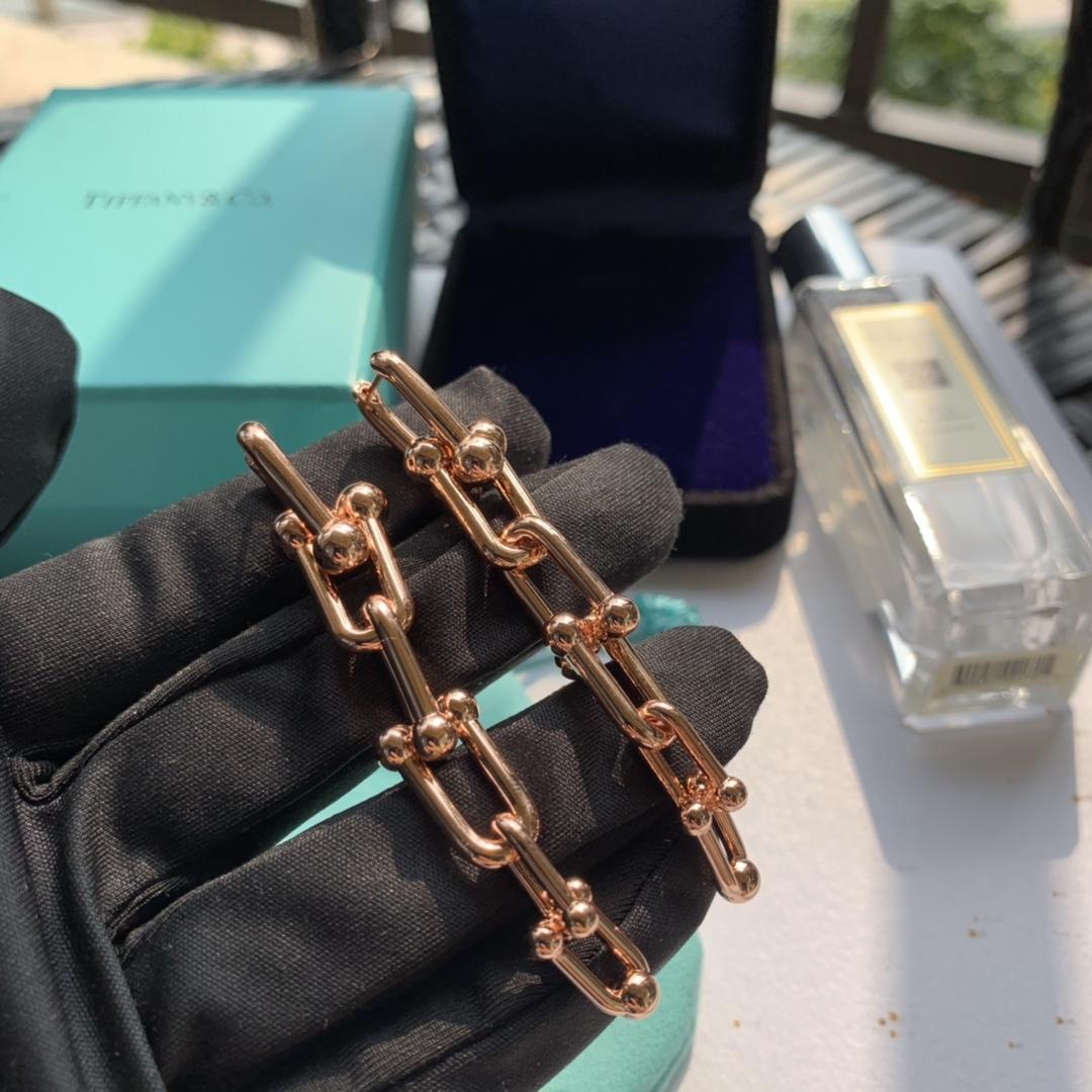 Tiffany&CO Graduated Link Earrings - PerfectKickZ