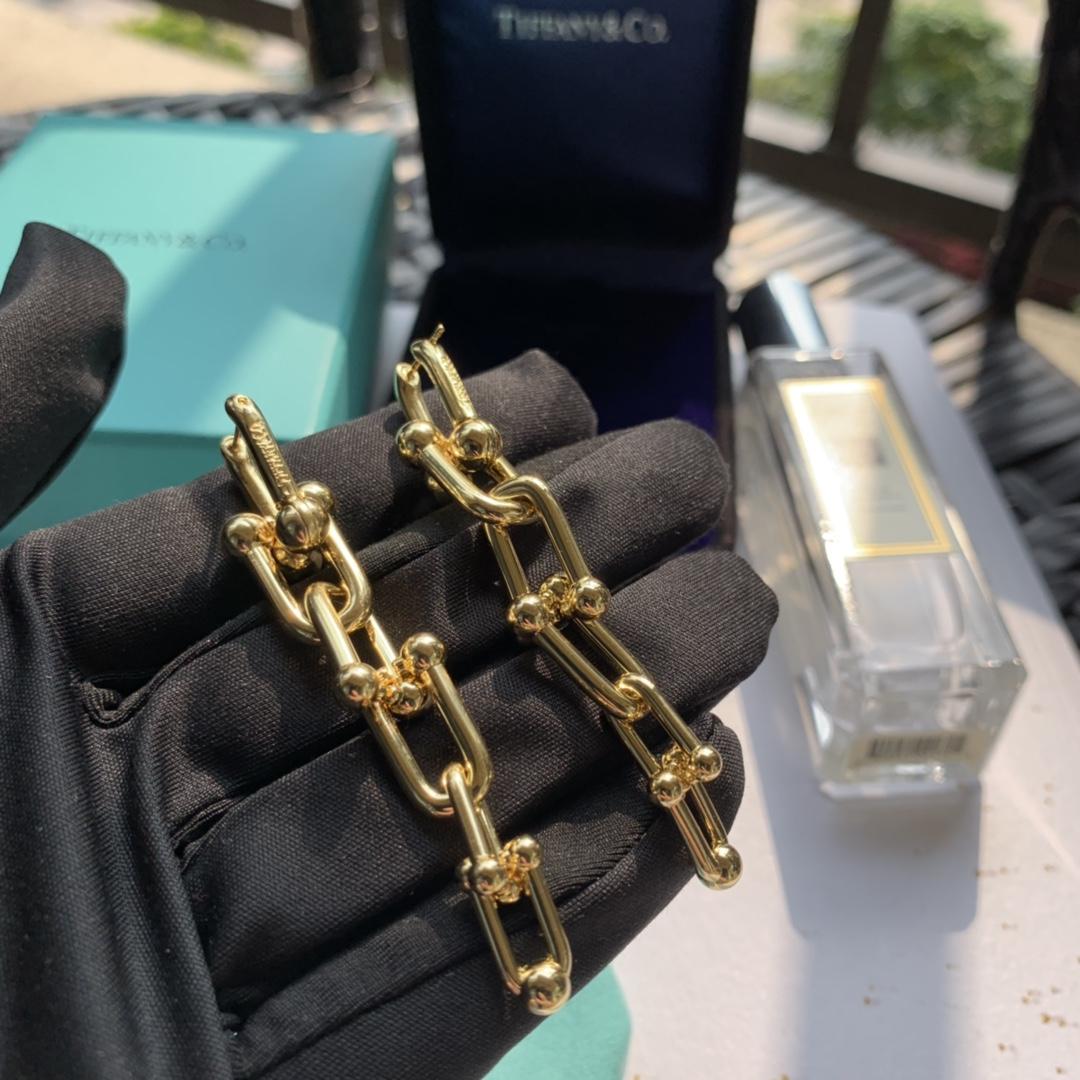 Tiffany&CO Graduated Link Earrings - PerfectKickZ