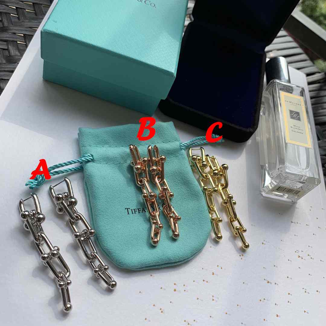 Tiffany&CO Graduated Link Earrings - PerfectKickZ
