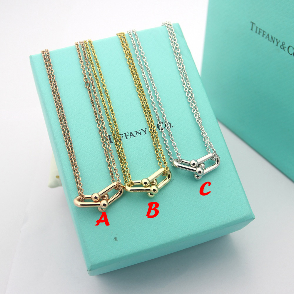 Tiffany&CO Double Link Pendant - PerfectKickZ