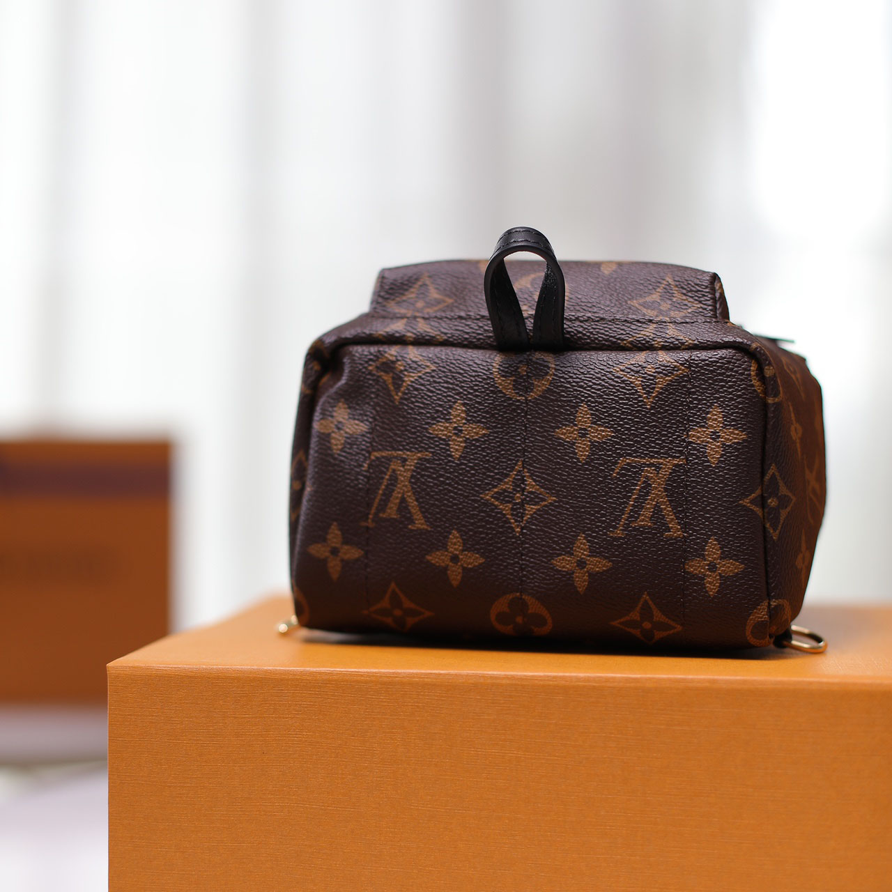 Louis VuittonPalm Springs Mini Backpack(17-22-10cm)   M44873 - PerfectKickZ