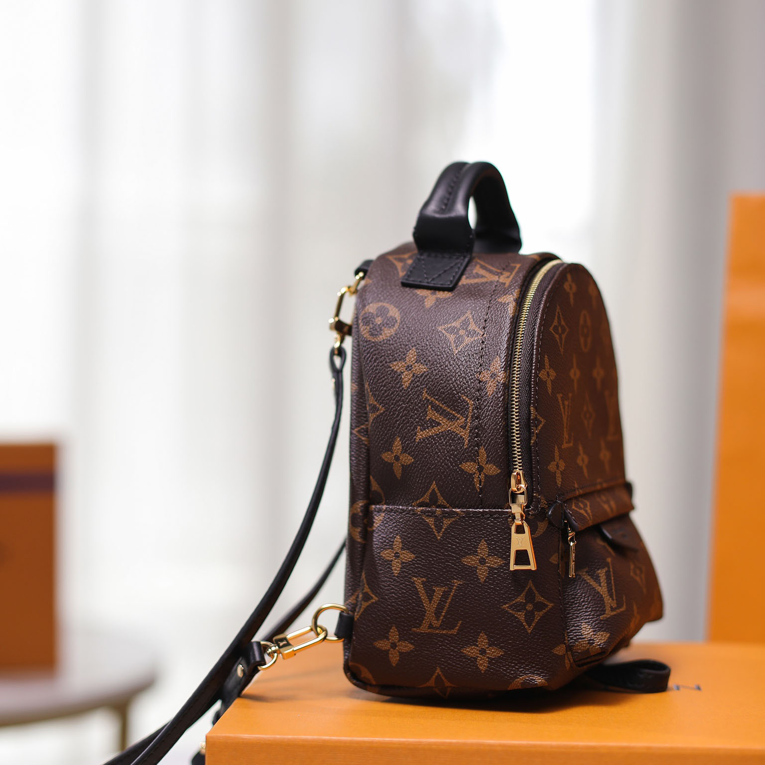 Louis VuittonPalm Springs Mini Backpack(17-22-10cm)   M44873 - PerfectKickZ