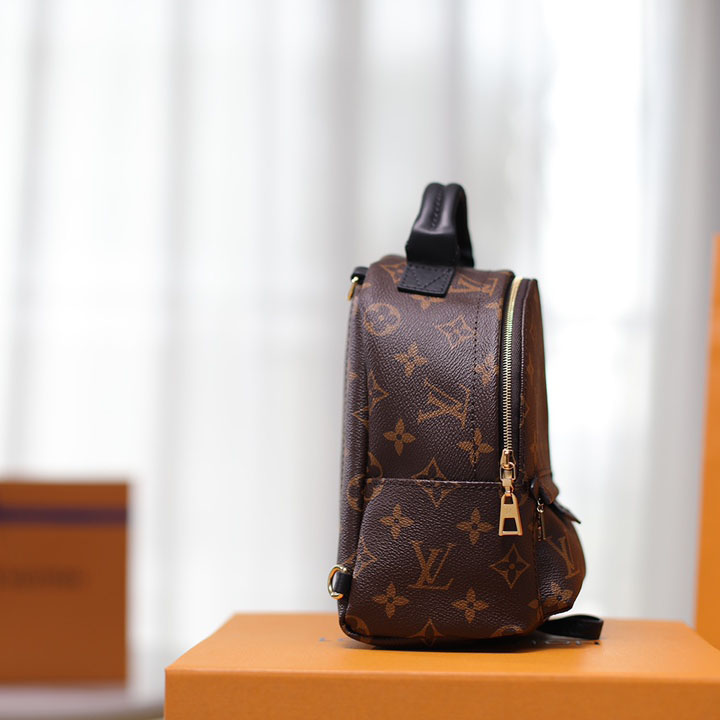 Louis VuittonPalm Springs Mini Backpack(17-22-10cm)   M44873 - PerfectKickZ