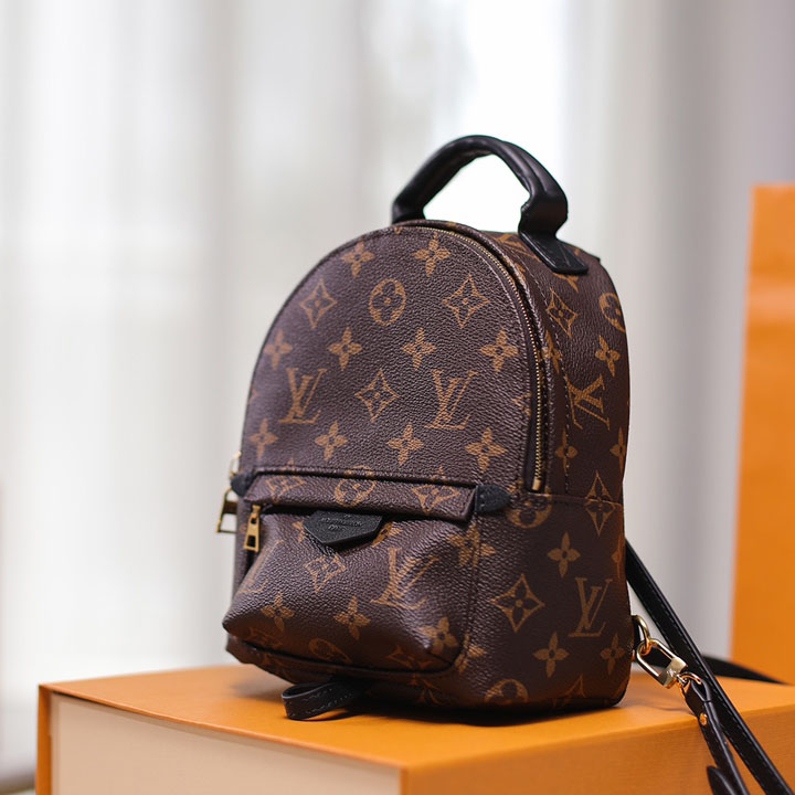 Louis VuittonPalm Springs Mini Backpack(17-22-10cm)   M44873 - PerfectKickZ