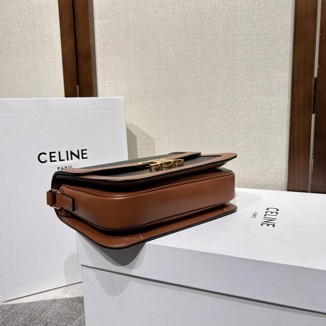 Celine Classique Triomphe Bag In Triomphe Canvas And Calfskin - 