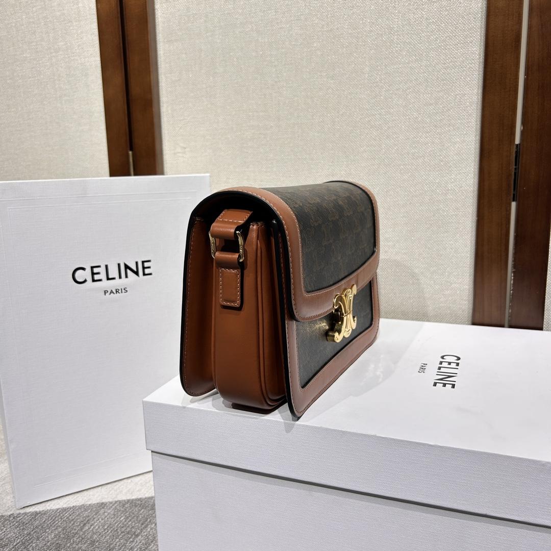 Celine Classique Triomphe Bag In Triomphe Canvas And Calfskin - 