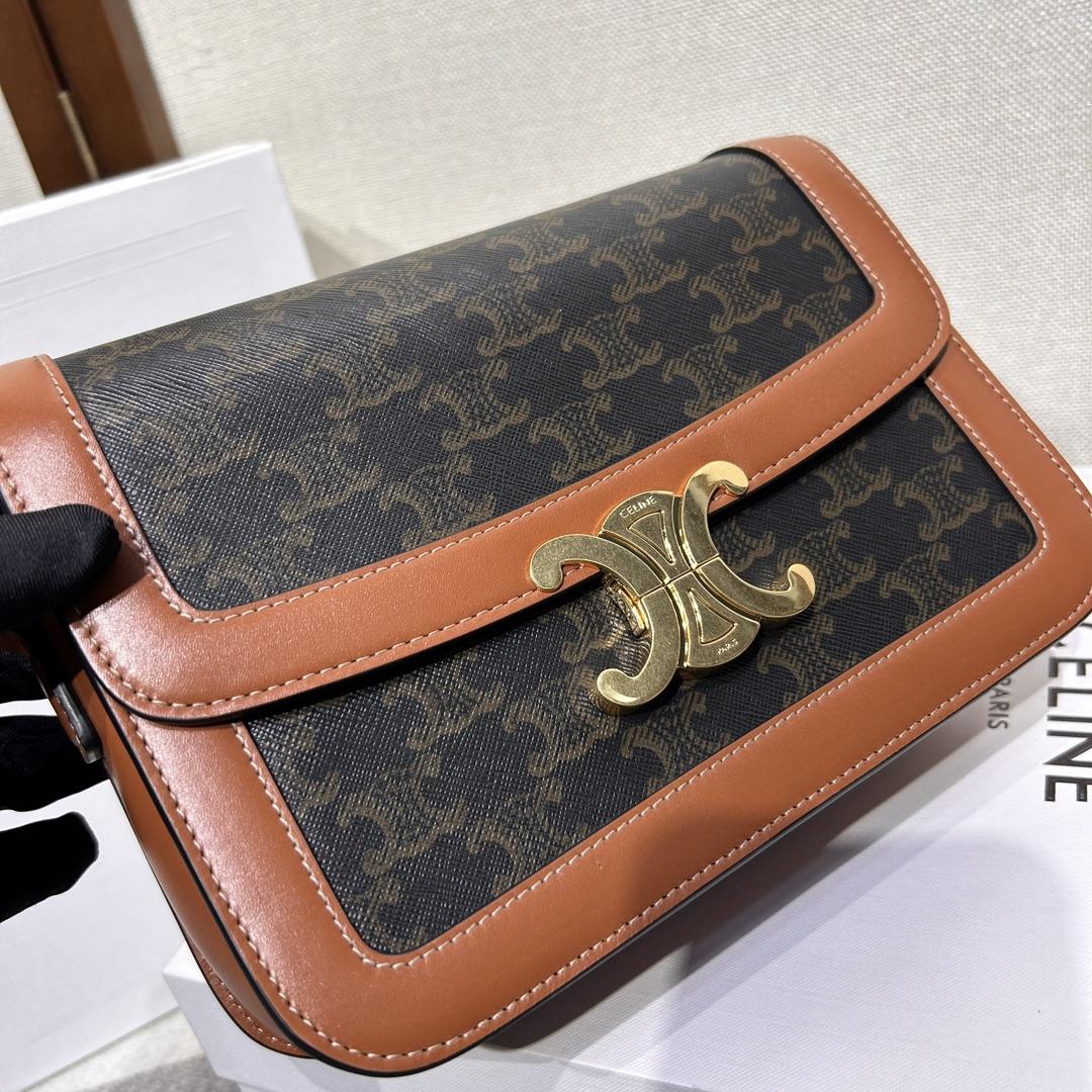 Celine Classique Triomphe Bag In Triomphe Canvas And Calfskin - 