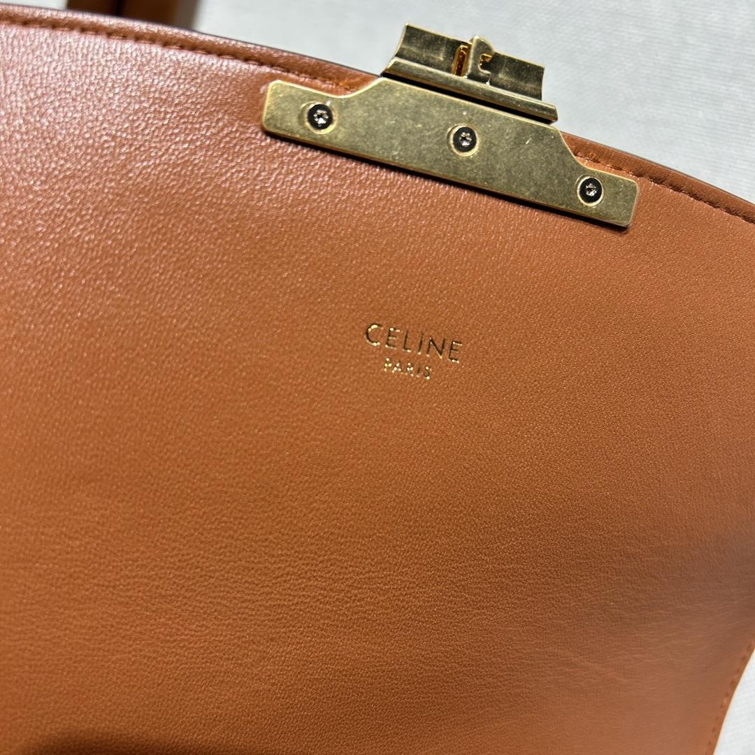 Celine Classique Triomphe Bag In Triomphe Canvas And Calfskin - 
