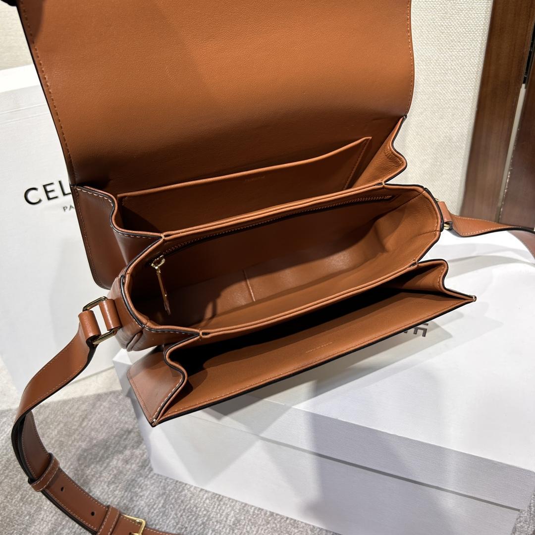 Celine Classique Triomphe Bag In Triomphe Canvas And Calfskin - 