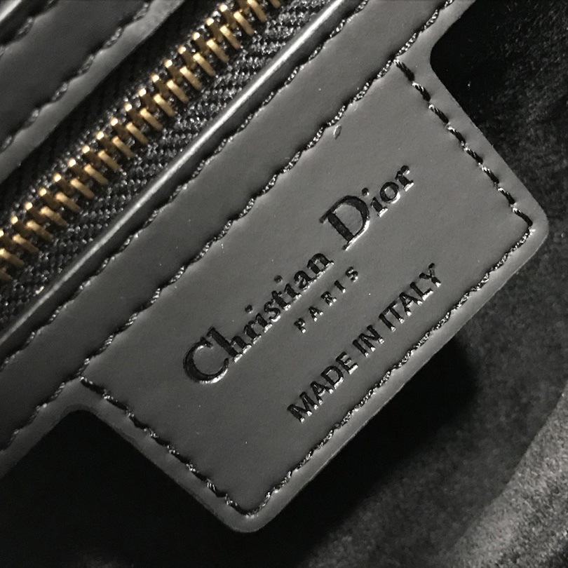 Dior Saddle Bag(25.5-20-6.5cm) - 