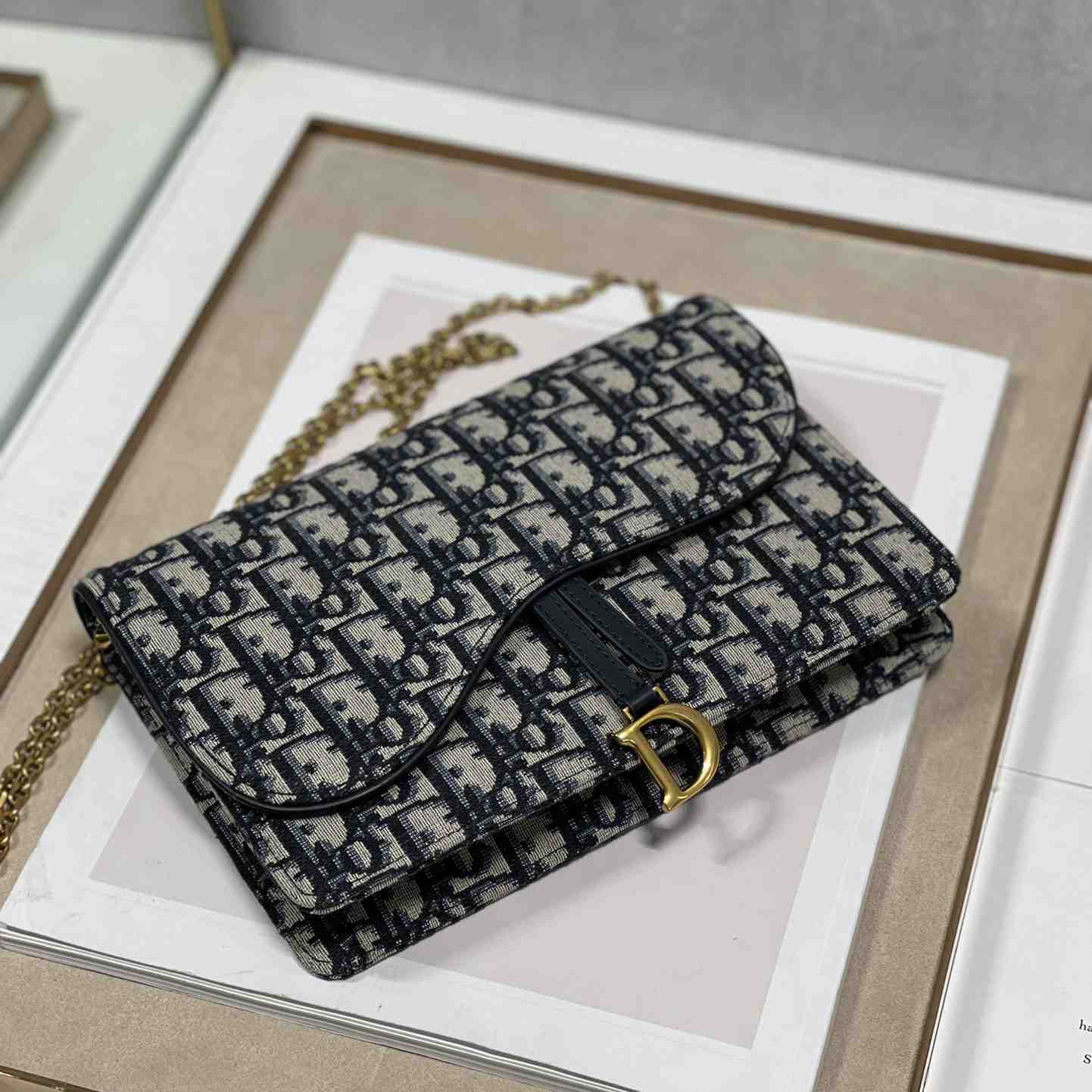 Dior Saddle Bag(22-14.5-3.5cm) - 