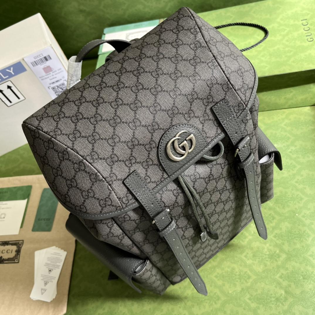 Gucci Ophidia GG Medium Backpack(24-40-16cm) - PerfectKickZ