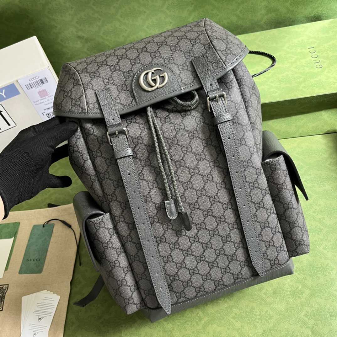 Gucci Ophidia GG Medium Backpack(24-40-16cm) - PerfectKickZ