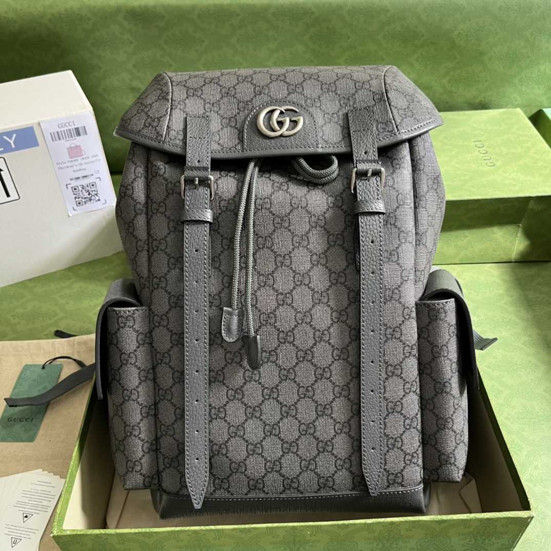 Gucci Ophidia GG Medium Backpack(24-40-16cm) - PerfectKickZ