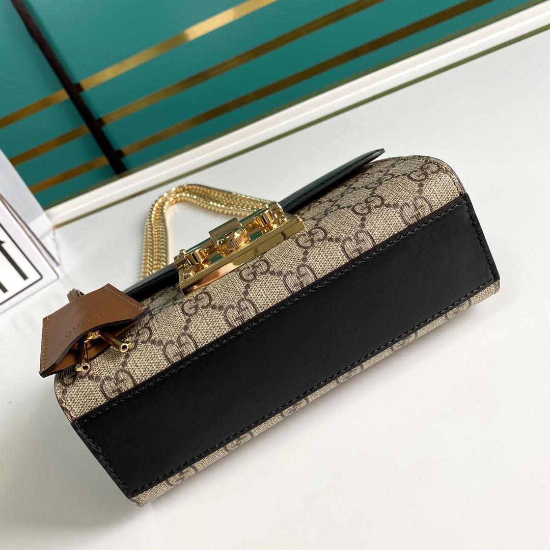 Gucci Shoulder Bag(20-12.5-8cm)  409487 - PerfectKickZ