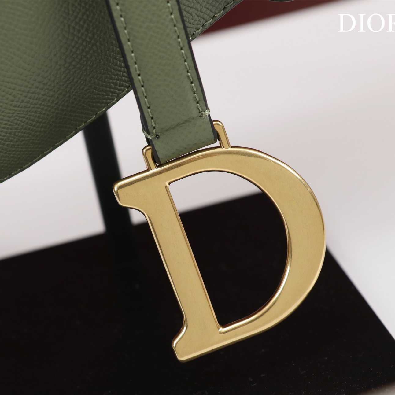 Dior Saddle Bag(25.5-20-6.5cm) - PerfectKickZ